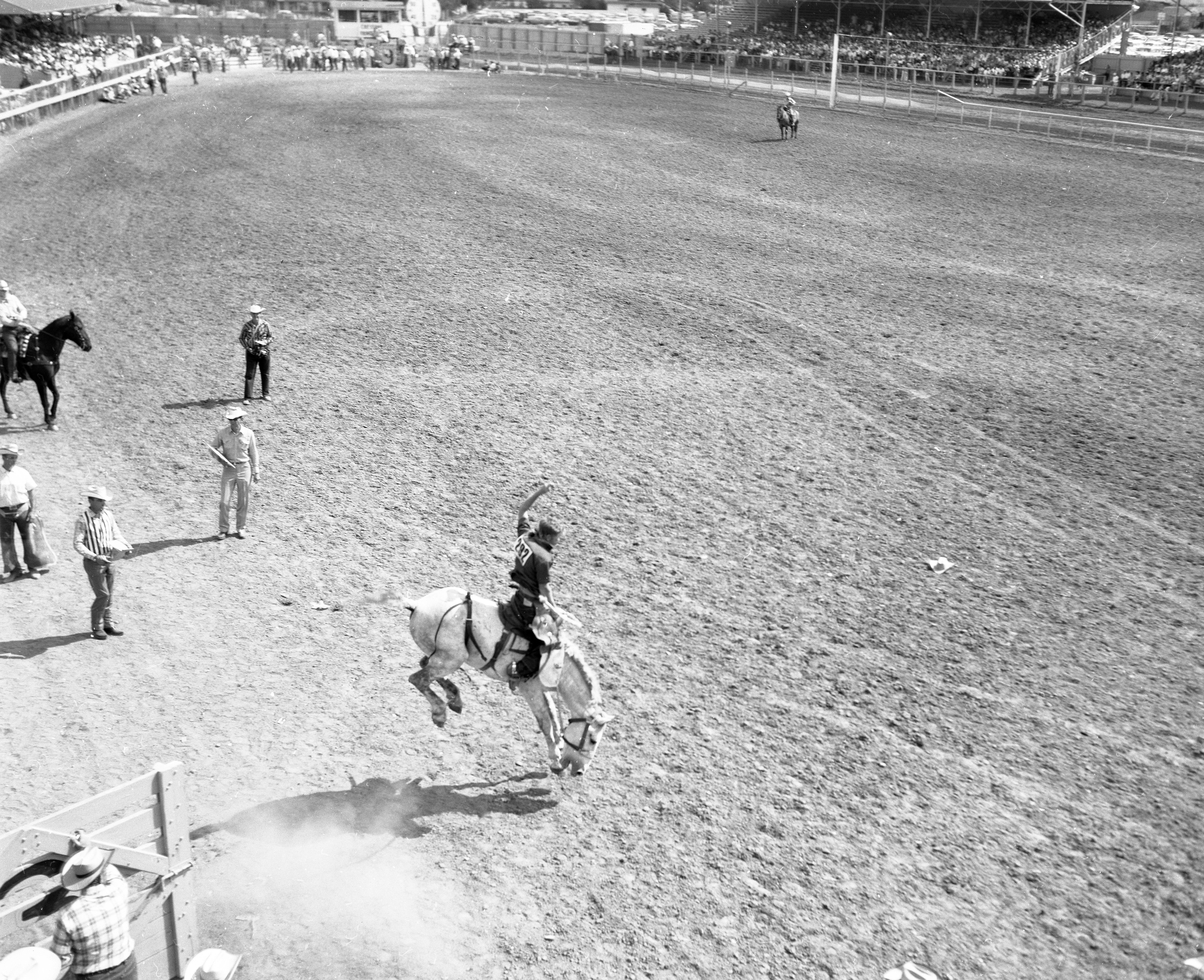 A horse bucks while the rider tries to stay in control.